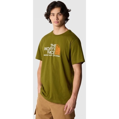 Vêtements Homme T-shirts & Polos The North Face NF0A87NWPIB1 Vert
