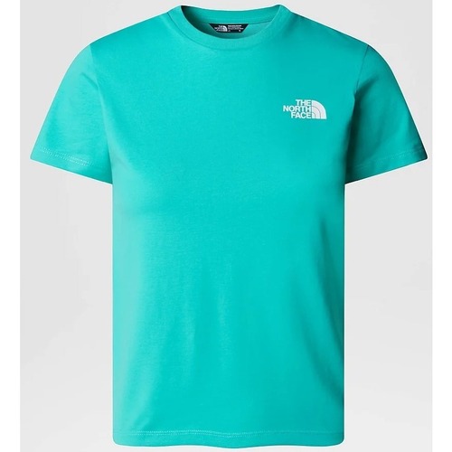 Vêtements Homme T-shirts & Polos The North Face NF0A87T4PIN1 Vert