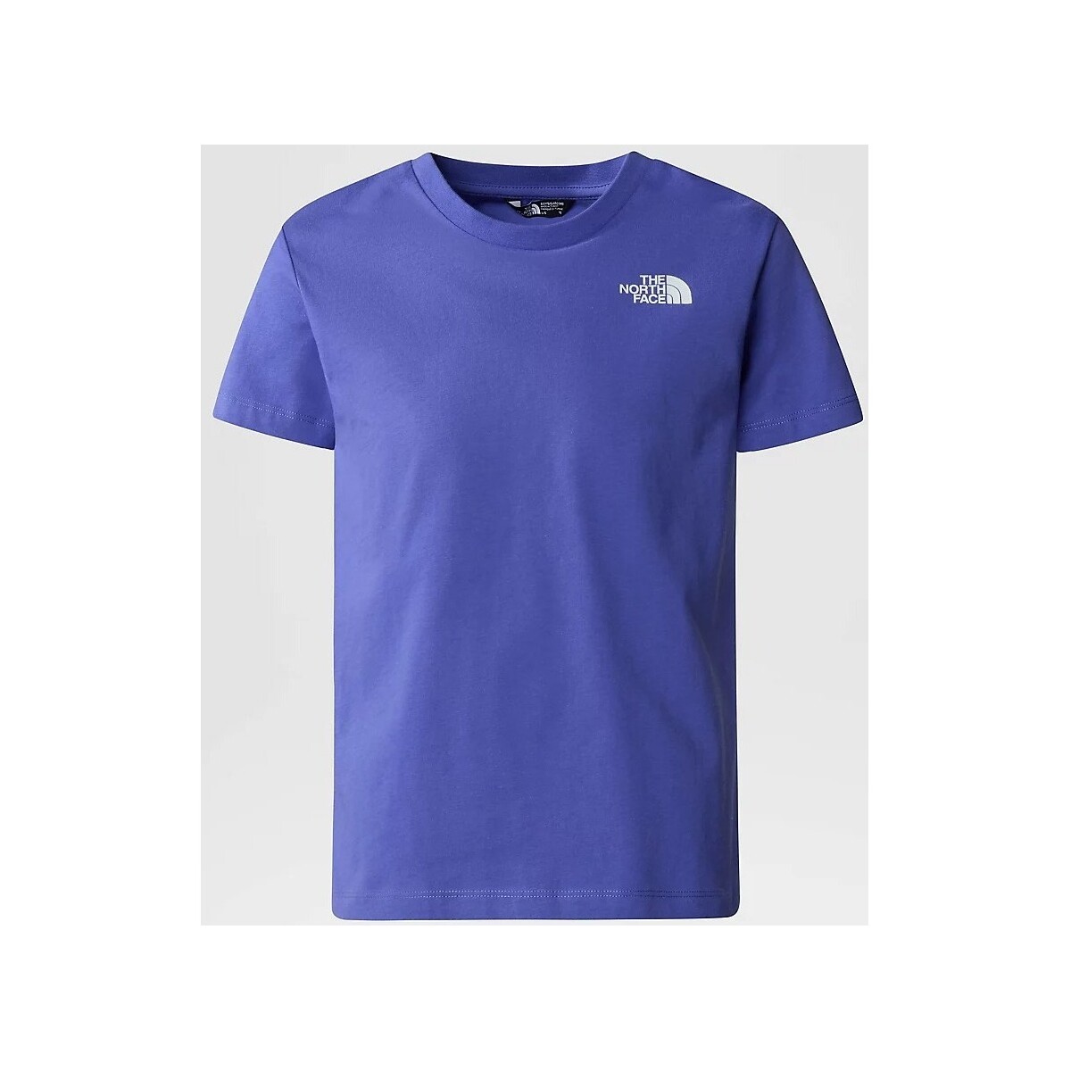 Vêtements Homme T-shirts & Polos The North Face NF0A87T5PFO1 Violet