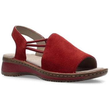 Chaussures Femme Sandales et Nu-pieds Ara Sandale 29005-06 Rouge