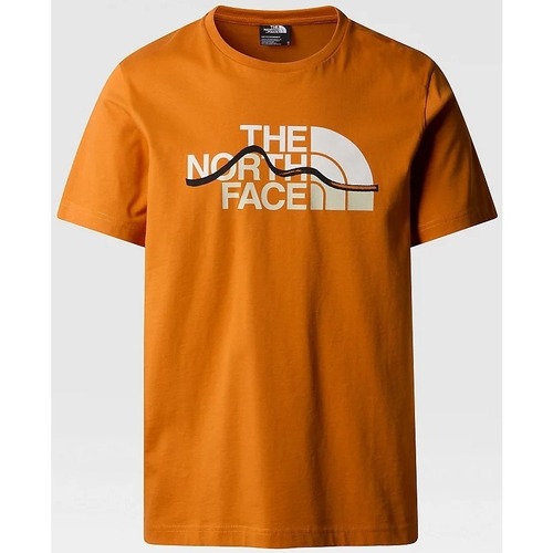 Vêtements Homme T-shirts & Polos The North Face NF0A87NTPCO1 Orange