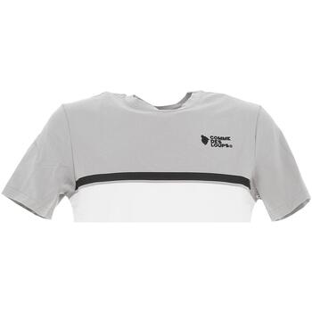 Vêtements Homme T-shirts manches courtes Aller au contenu principal Everest grey white mc tee Gris