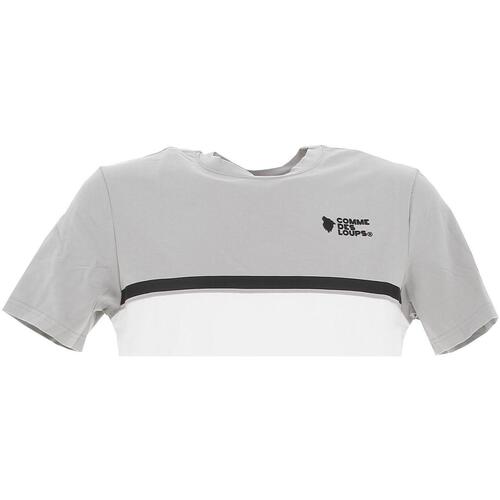 Vêtements Homme T-shirts manches courtes Aller au contenu principal Everest grey white mc tee Gris