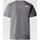 Vêtements Homme T-shirts & Polos The North Face NF0A87N50UZ1 Gris
