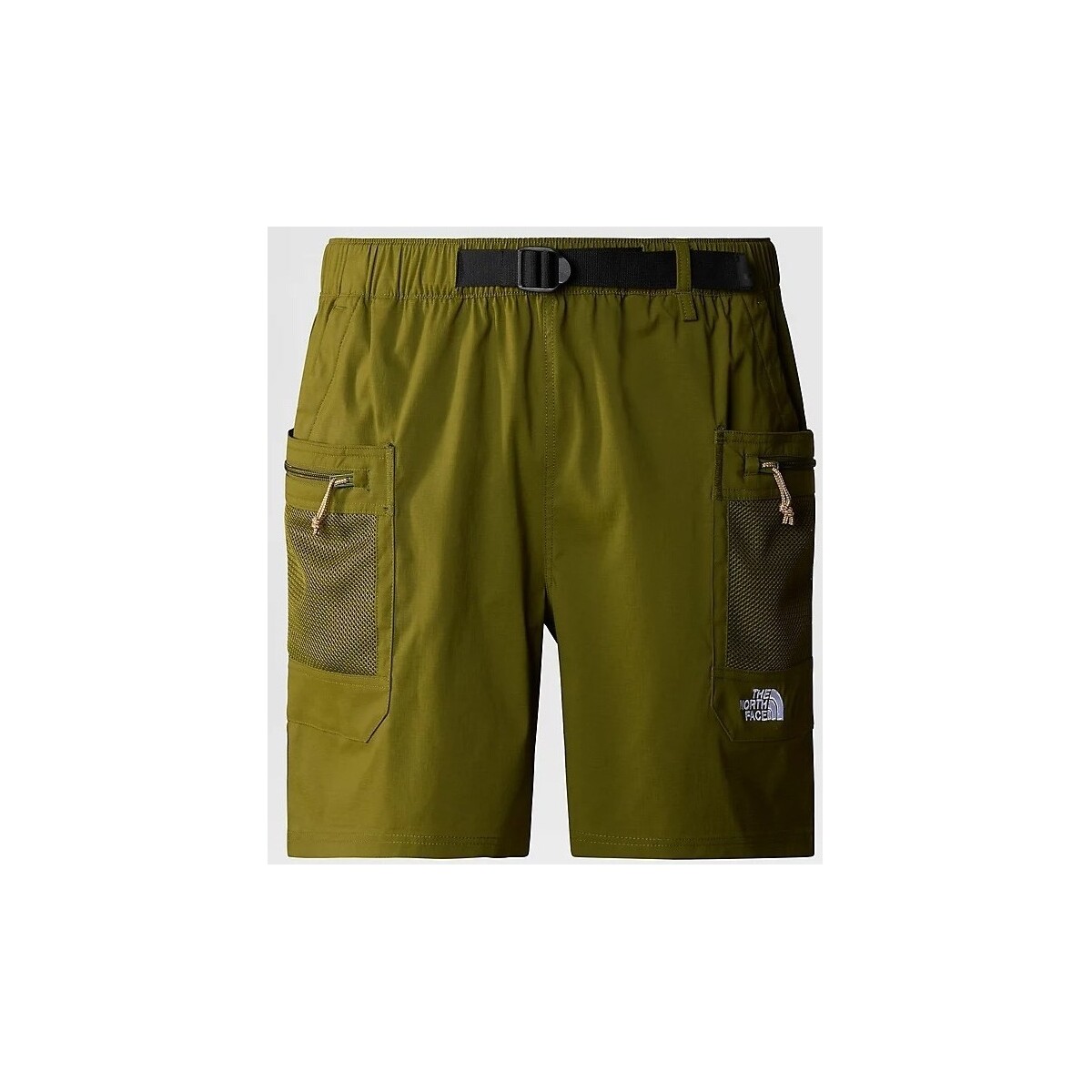 Vêtements Homme Shorts / Bermudas The North Face NF0A86QJPIB1 Vert