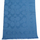 Accessoires textile Femme Echarpes / Etoles / Foulards Coach  Bleu