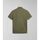 Vêtements Homme T-shirts & Polos Napapijri EBEA 2 NP0A4HPY-GAE GREEN LICHEN Vert