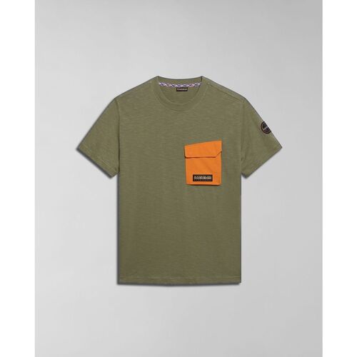 Vêtements Homme T-shirts & Polos Napapijri S-TEPEES NP0A4HQJ-GAE1 GREEN LICHEN Vert