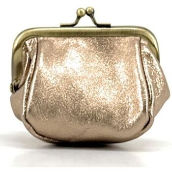 Sacs Femme Portefeuilles Oh My satchel Bag REINETTE Doré