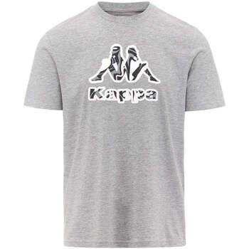 Vêtements Homme T-shirts manches courtes Kappa T-shirt Logo Fioro Gris