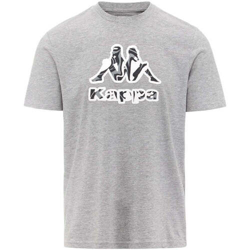 Vêtements Homme T-shirts manches courtes Kappa T-shirt Logo Fioro Gris