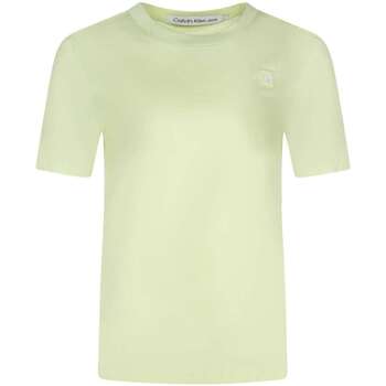 Vêtements Femme T-shirts manches courtes Calvin Klein Jeans 160842VTPE24 Vert
