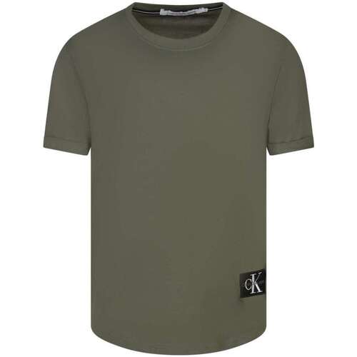 Vêtements Homme T-shirts manches courtes Calvin Klein JEANS Strappy 160861VTPE24 Kaki