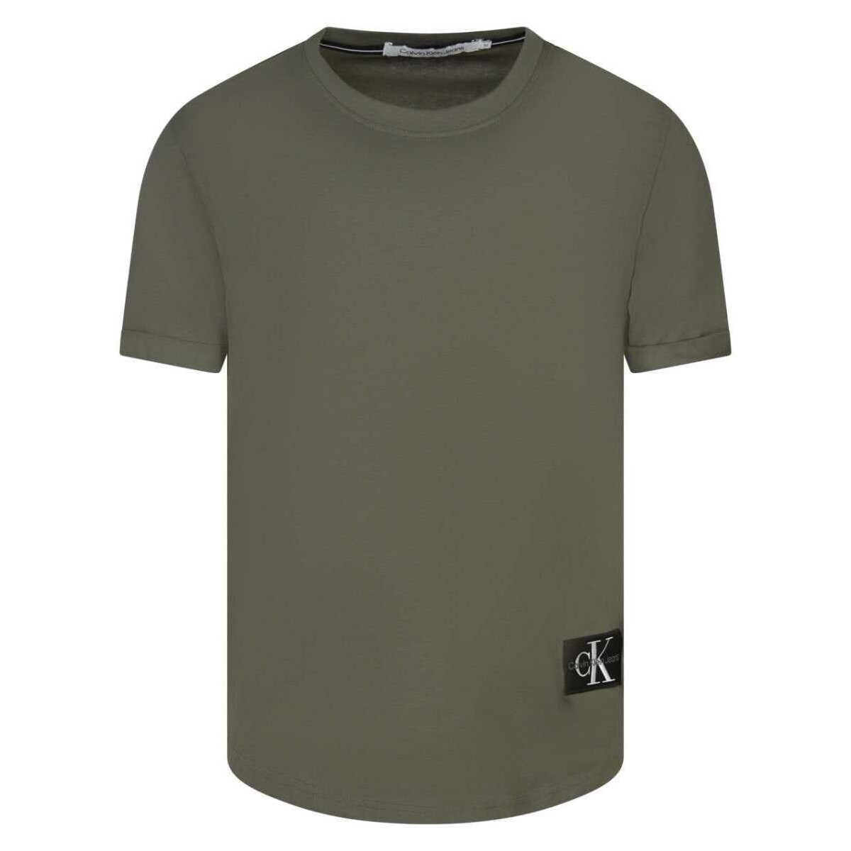 Vêtements Homme T-shirts manches courtes Calvin Klein Jeans 160861VTPE24 Kaki