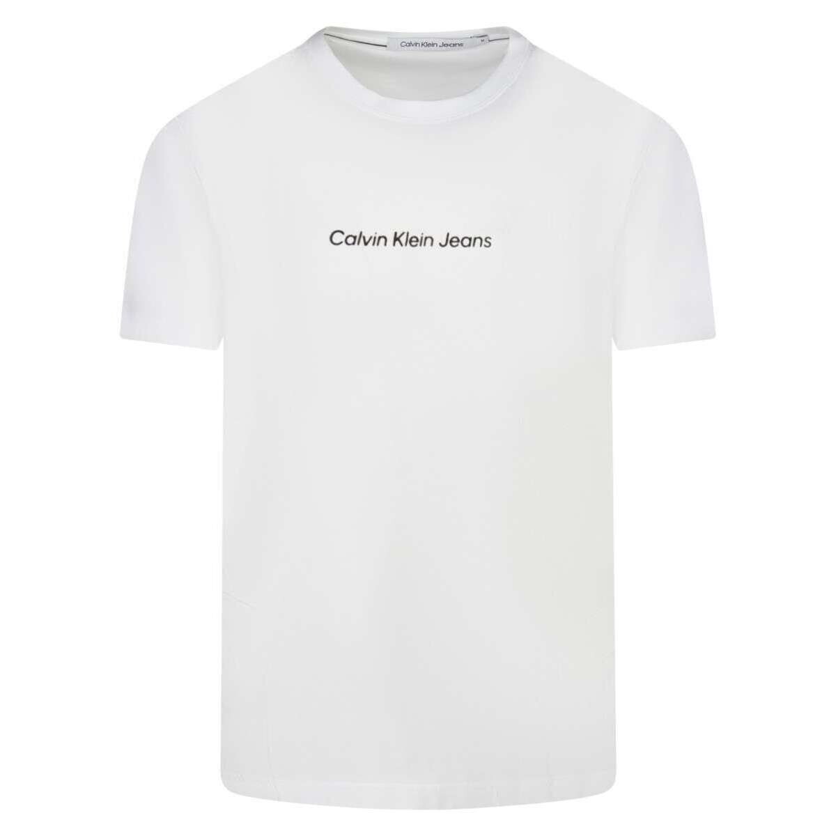 Vêtements Homme T-shirts manches courtes Calvin Klein Jeans 160866VTPE24 Blanc