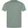 Vêtements Homme T-shirts manches courtes Jack & Jones 161550VTPE24 Vert