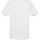 Vêtements Homme T-shirts manches courtes Ferrari & Zenobi - tshmz Blanc
