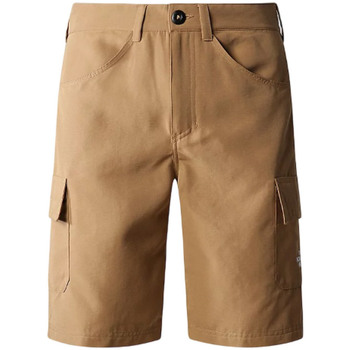 Vêtements Homme Shorts pale / Bermudas The North Face NF0A824D1731 Marron