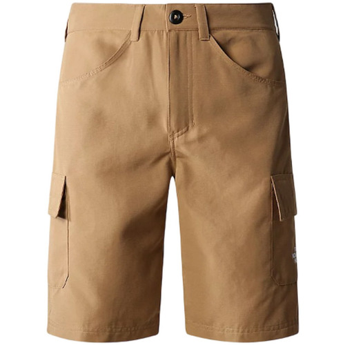 Vêtements Homme Shorts / Bermudas The North Face NF0A824D1731 Marron