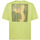 Vêtements Homme T-shirts manches courtes Brvn Phoenix Vert