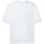 Vêtements Homme T-shirts manches courtes Brvn Dashing Blanc