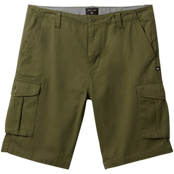 Vêtements Garçon canal Shorts / Bermudas Quiksilver Crucial Battle Vert