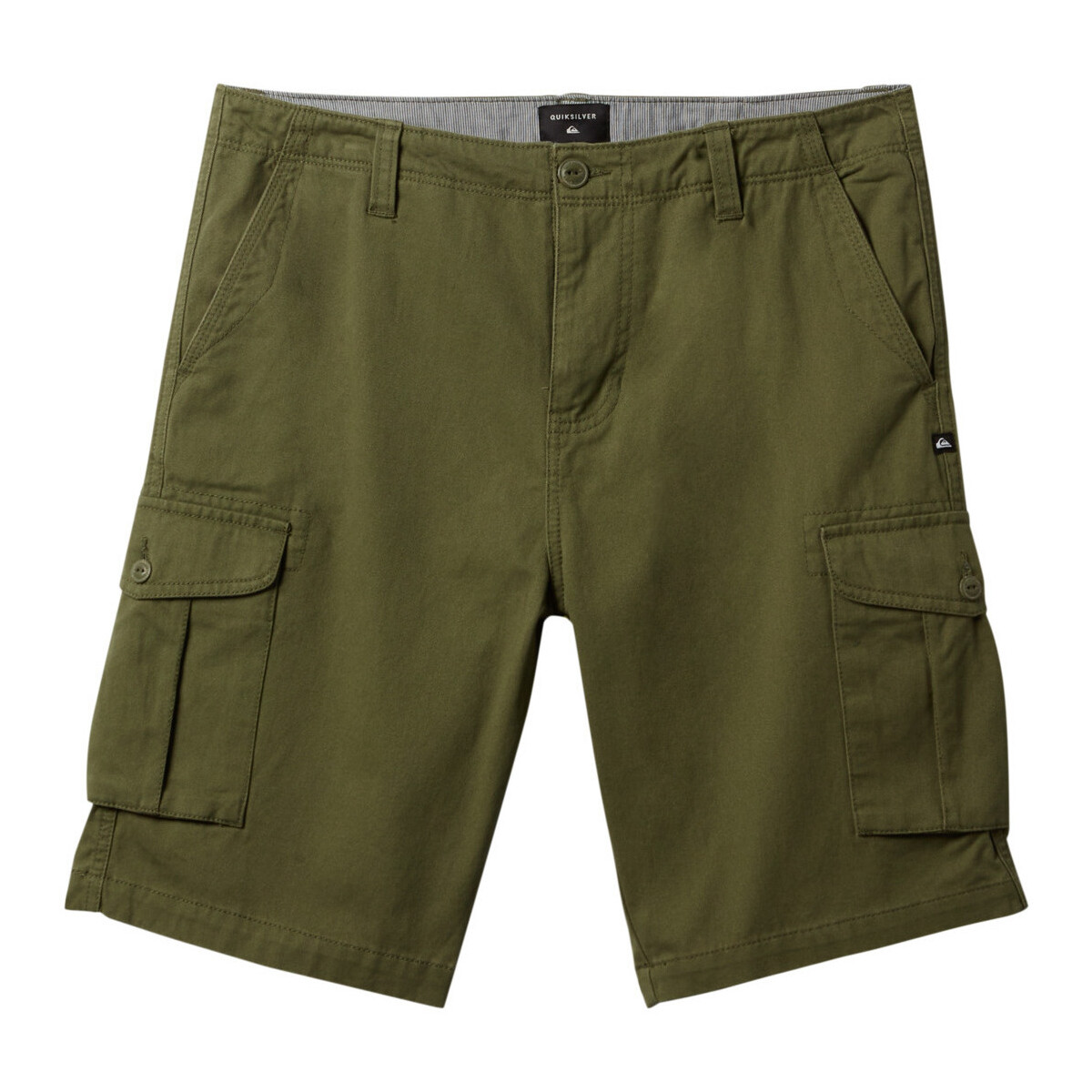 Vêtements Garçon Shorts / Bermudas Quiksilver Crucial Battle Vert