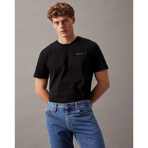 Vêtements Homme T-shirts manches courtes Calvin Klein Jeans J30J325679BEH Noir