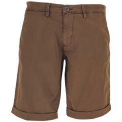 Vêtements Homme Shorts / Bermudas Modfitters Shorts Brighton Homme Jungle Marron