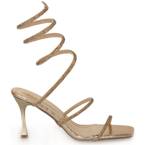 Chaussures Femme Sandales et Nu-pieds Laura Biagiotti LIGHT GOLD Beige