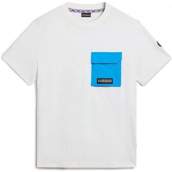 Vêtements Homme T-shirts & Polos Napapijri S-TEPEES NP0A4HQJ-N1A WHITE WHISPER Blanc