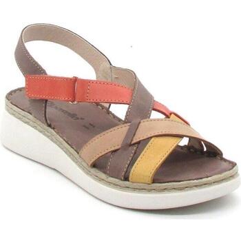 Chaussures Femme The Happy Monk Riposella  Multicolore