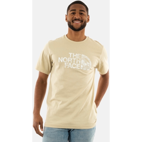 Vêtements Homme T-shirts manches courtes The North Face 0a87nx Beige