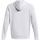Vêtements Homme Sweats Under Armour UA Rival Fleece Logo HD Blanc