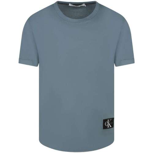 Vêtements Homme T-shirts manches courtes Calvin Klein Jeans 160862VTPE24 Bleu