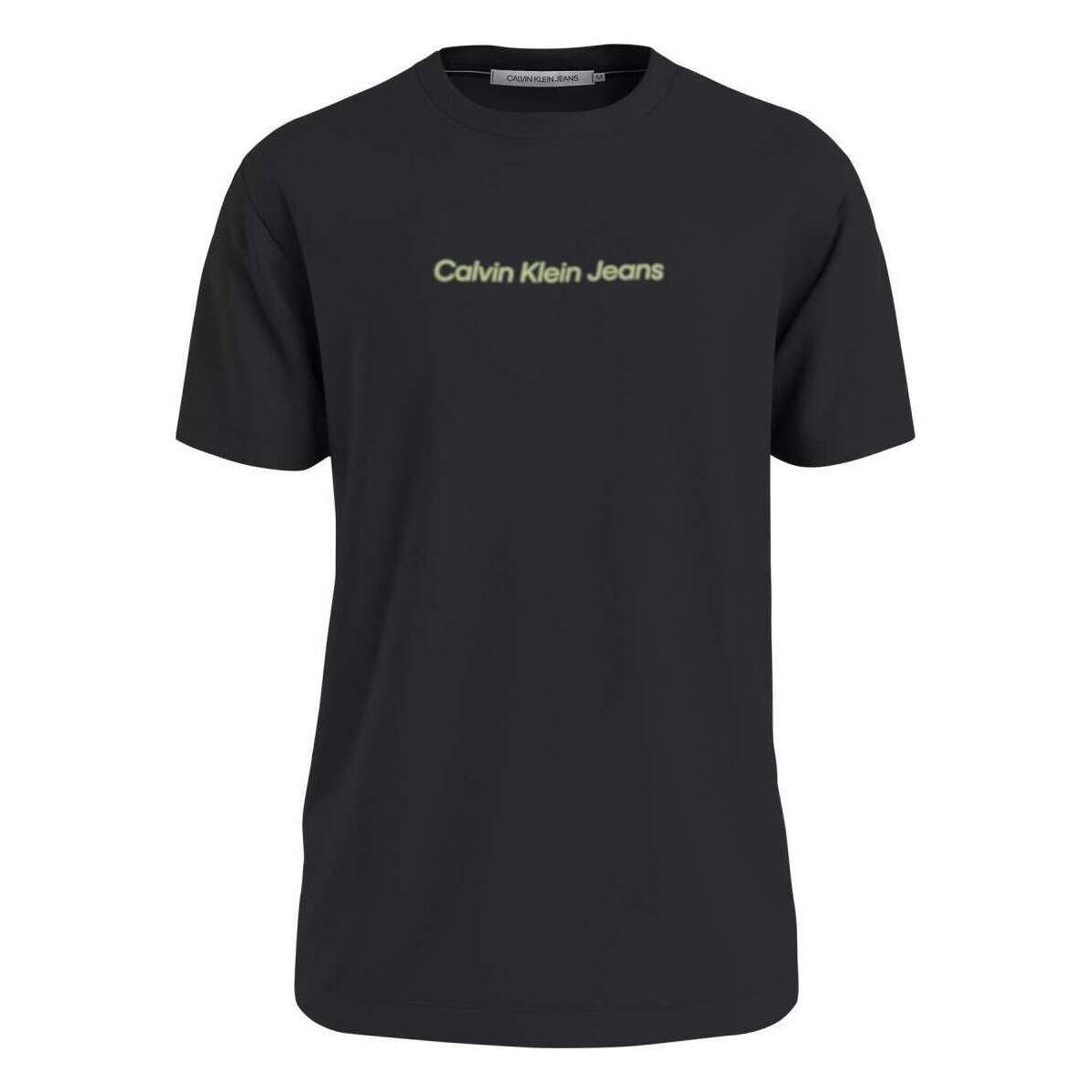 Vêtements Homme T-shirts manches courtes Calvin Klein Jeans 160867VTPE24 Noir