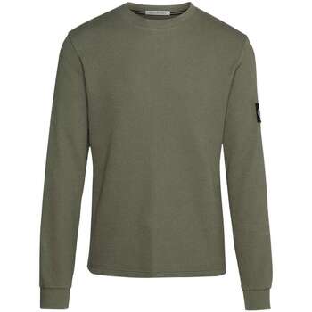 Vêtements Homme T-shirts manches courtes Calvin Klein Jeans 160868VTPE24 Kaki