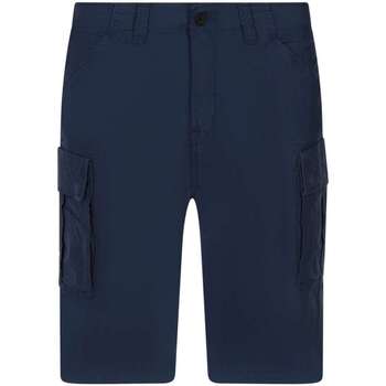 Vêtements Homme Shorts / Bermudas Timberland 163502VTPE24 Marine