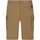 Vêtements Homme Shorts / Bermudas Timberland 163503VTPE24 Beige