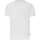 Vêtements Homme T-shirts manches courtes Daytona 164017VTPE24 Blanc