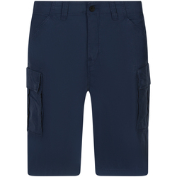 Vêtements Homme Shorts / Bermudas Timberland Short cargo coton biologique Marine