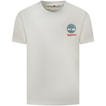 Vêtements Homme T-shirts & Polos Timberland T-shirt coton col rond Beige