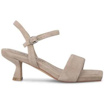 Chaussures Femme Sandales et Nu-pieds Tables de chevet V240654 Marron