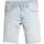 Vêtements Homme Shorts / Bermudas Levi's 163730VTPE24 Marron