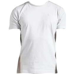 Vêtements Homme T-shirts & Polos Doublehood Tee-shirt Gris