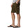 Vêtements Homme Shorts / Bermudas Columbia Silver Ridge II Cargo Vert