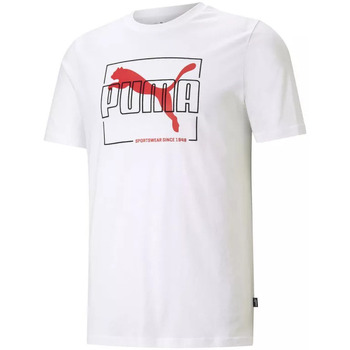 Vêtements Homme T-shirts & Polos Puma FLOCK Blanc
