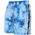 Vêtements Homme Maillots / Shorts de bain Horspist Gemini Bleu