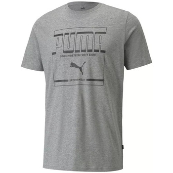 Vêtements Homme T-shirts manches courtes Puma Graphic Gris