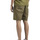 Vêtements Homme Shorts / Bermudas Doublehood Short Vert